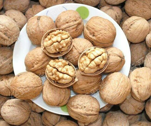Kĩ thuật trồng và chăm sóc cây Óc chó